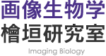 Higaki Imaging Biology